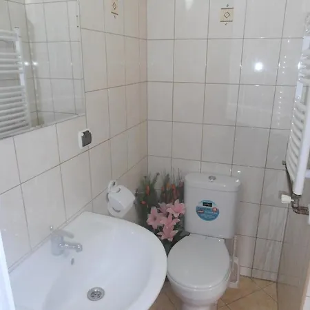 Jaskier Górski Kwatera prywatna Kościelisko